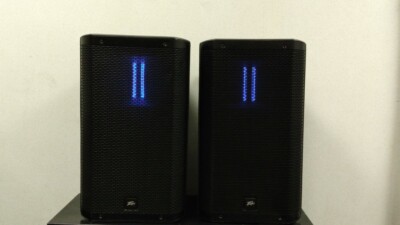 peavey criterion speakers